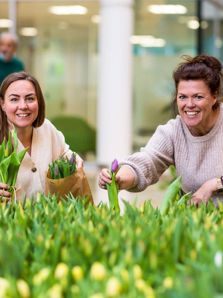 WTC Amsterdam | Welcome To Change