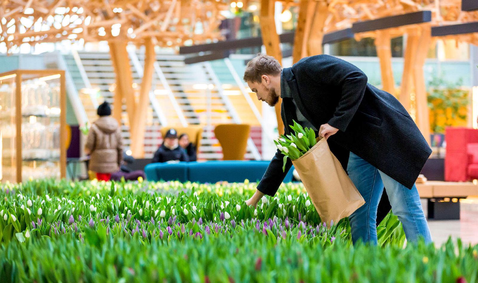 WTC Amsterdam | Welcome To Change