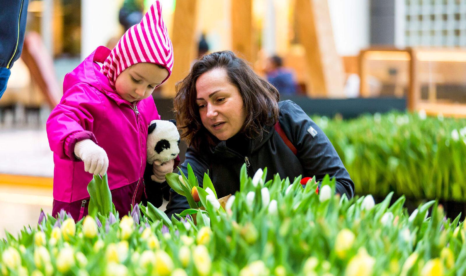 WTC Amsterdam | Welcome To Change