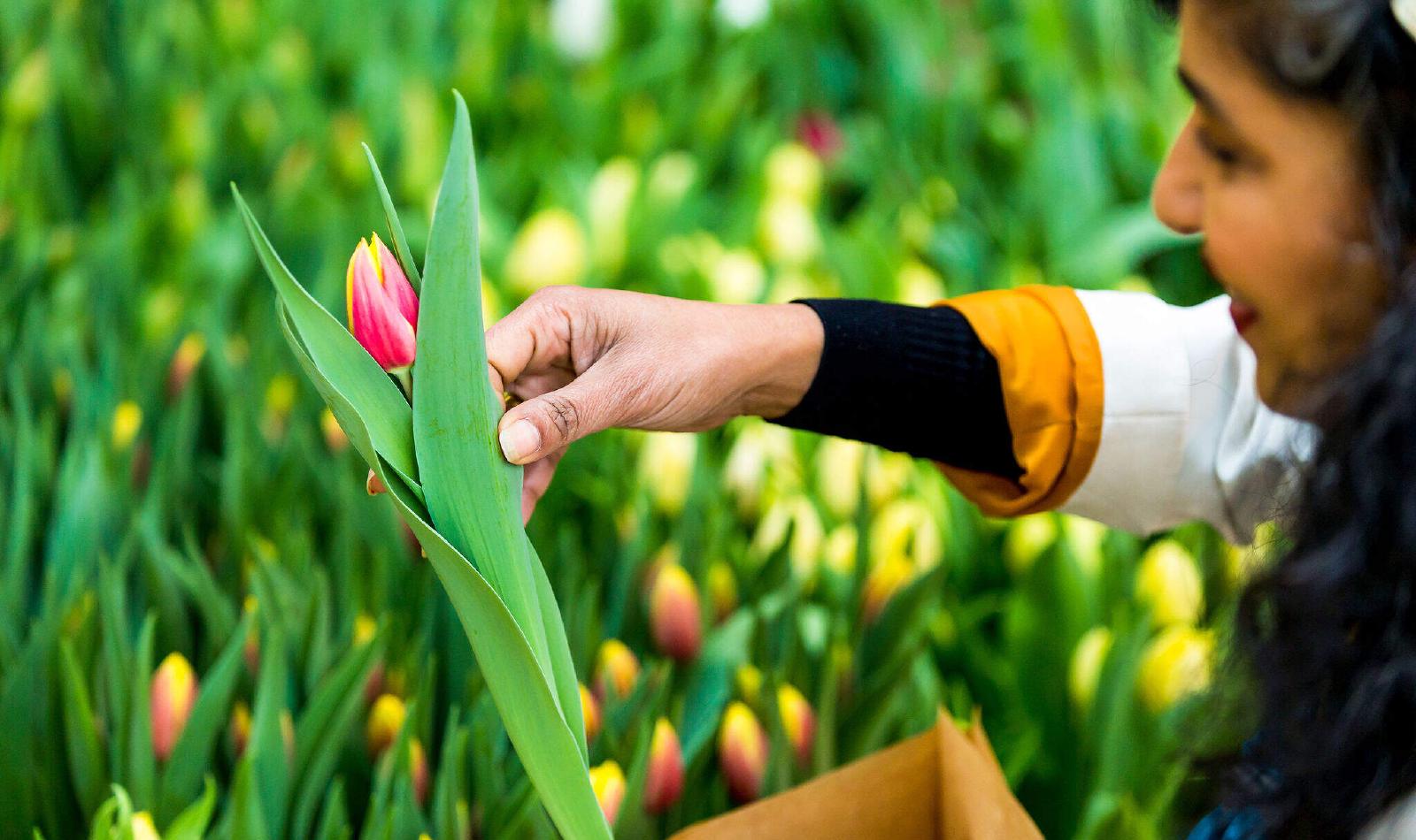 WTC Amsterdam | Welcome To Change