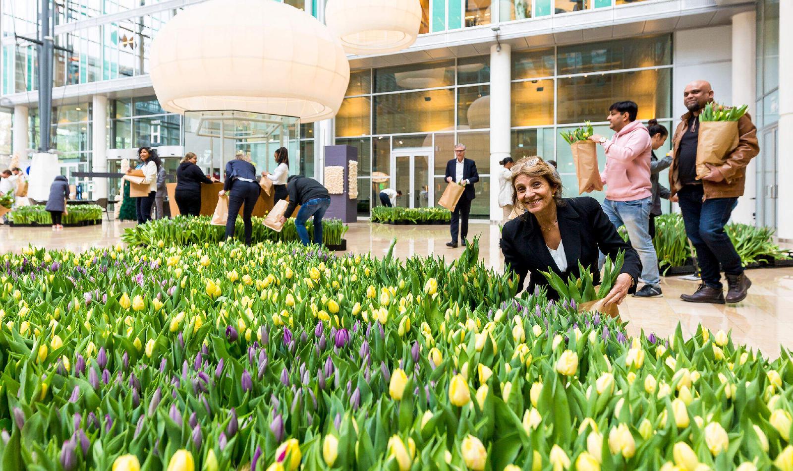 WTC Amsterdam | Welcome To Change