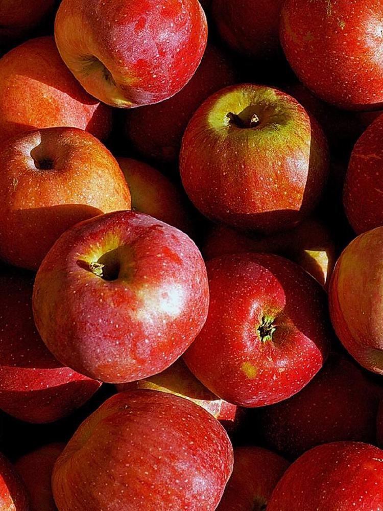 WTC Amsterdam | Welcome To Change