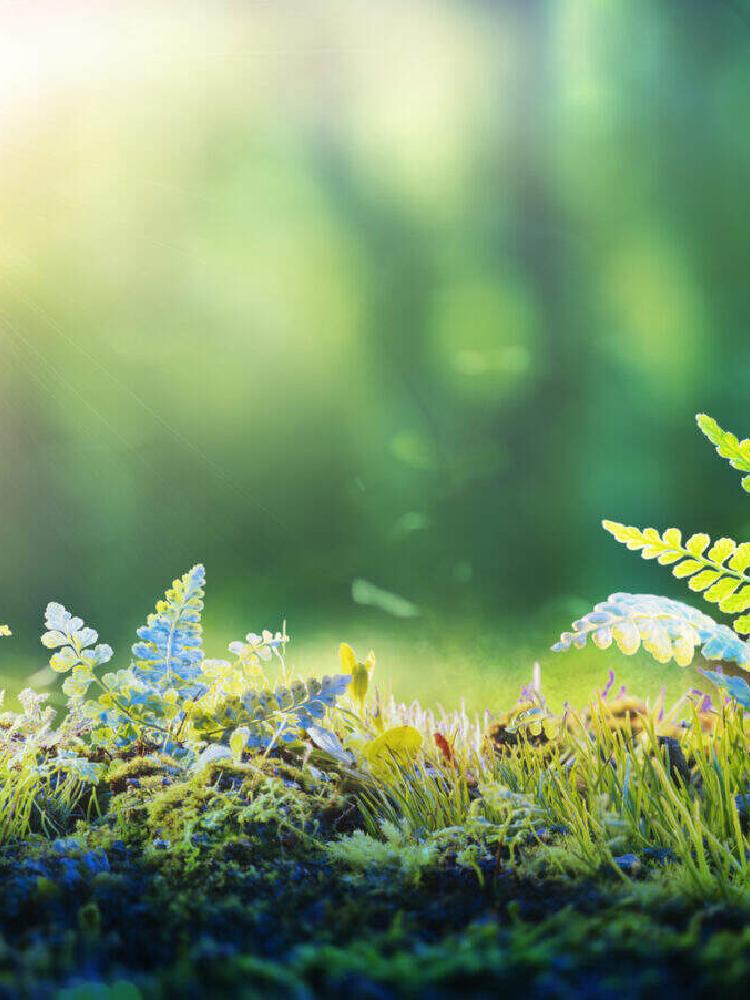 WTC Amsterdam | Welcome To Change