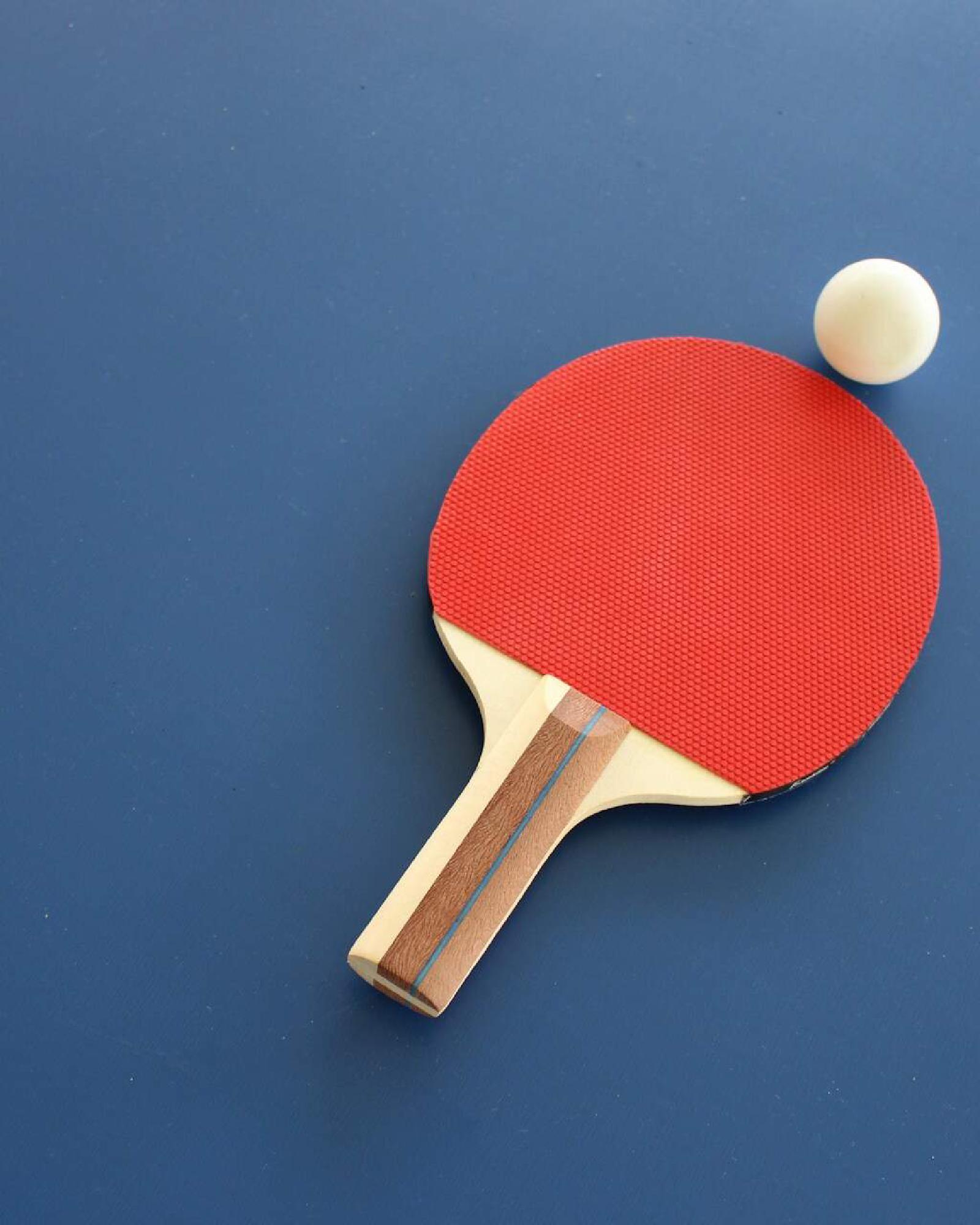 Table tennis clinic & tournament with Bettine Vriesekoop