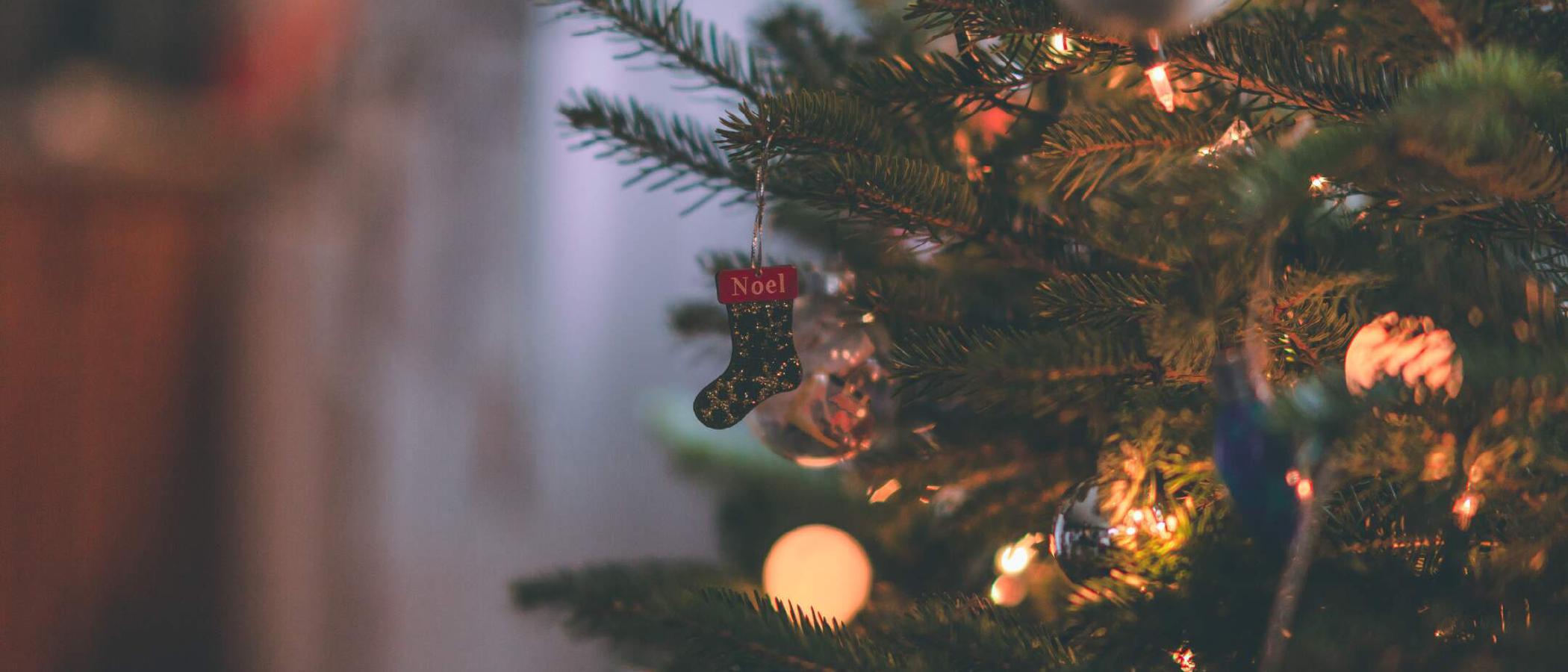 Giving Tree Kick-off event
Monday December 4
4:45 PM - 6 PM