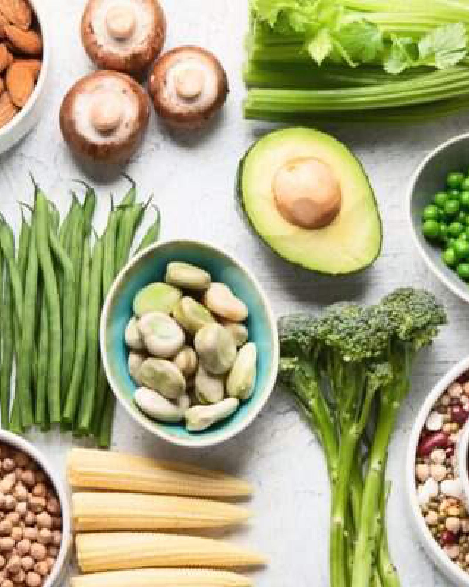 Lezing eiwittransitie