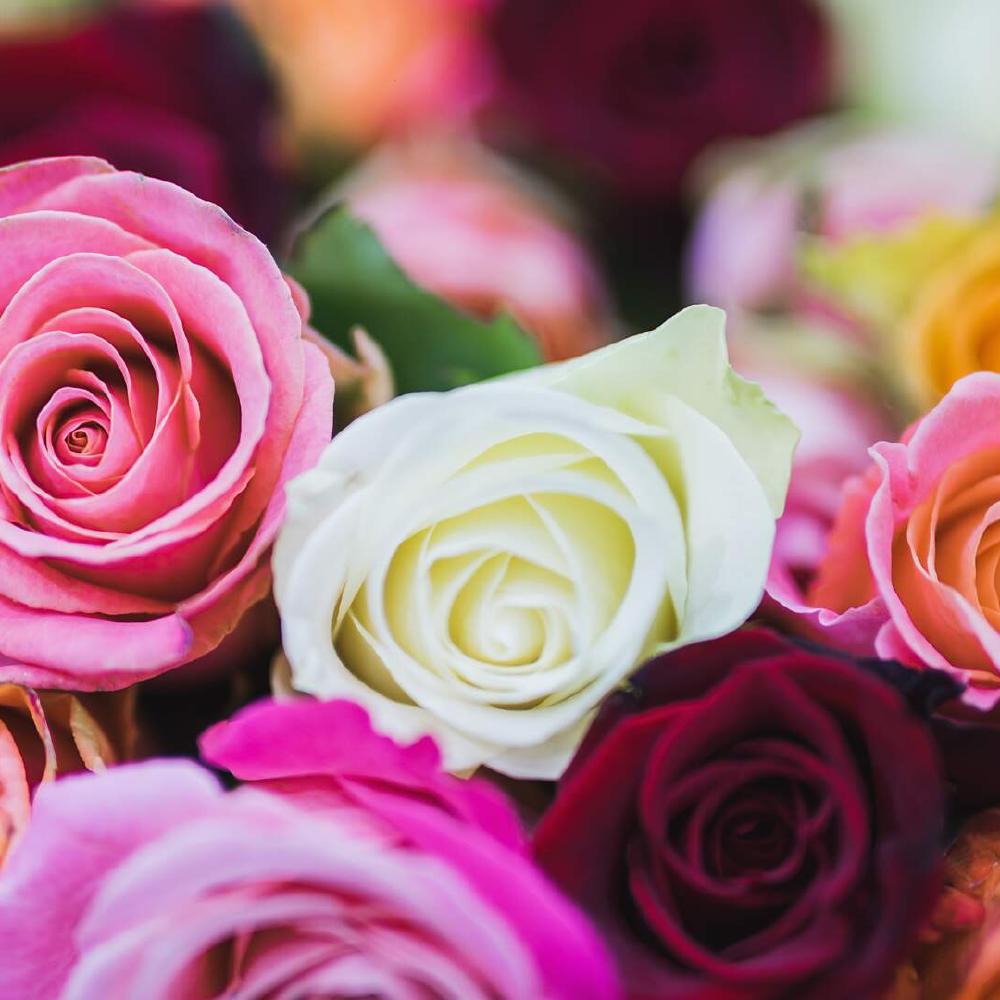 WTC Amsterdam | Welcome To Change