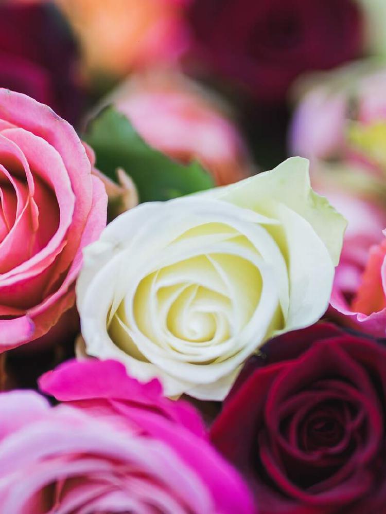 WTC Amsterdam | Welcome To Change