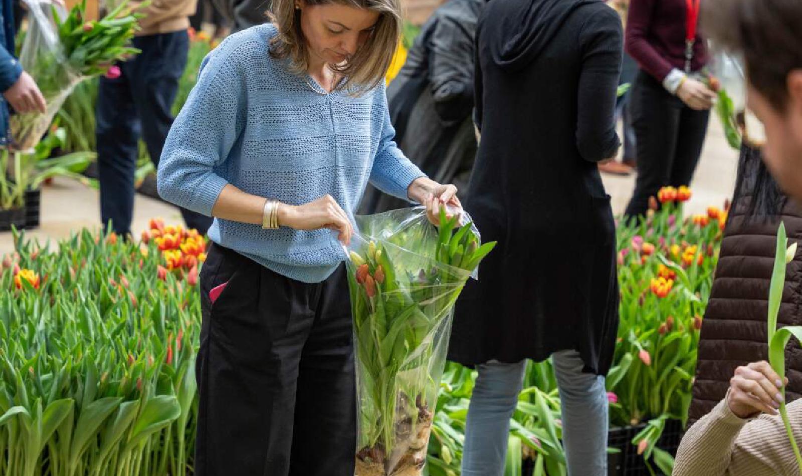 WTC Amsterdam | Welcome To Change