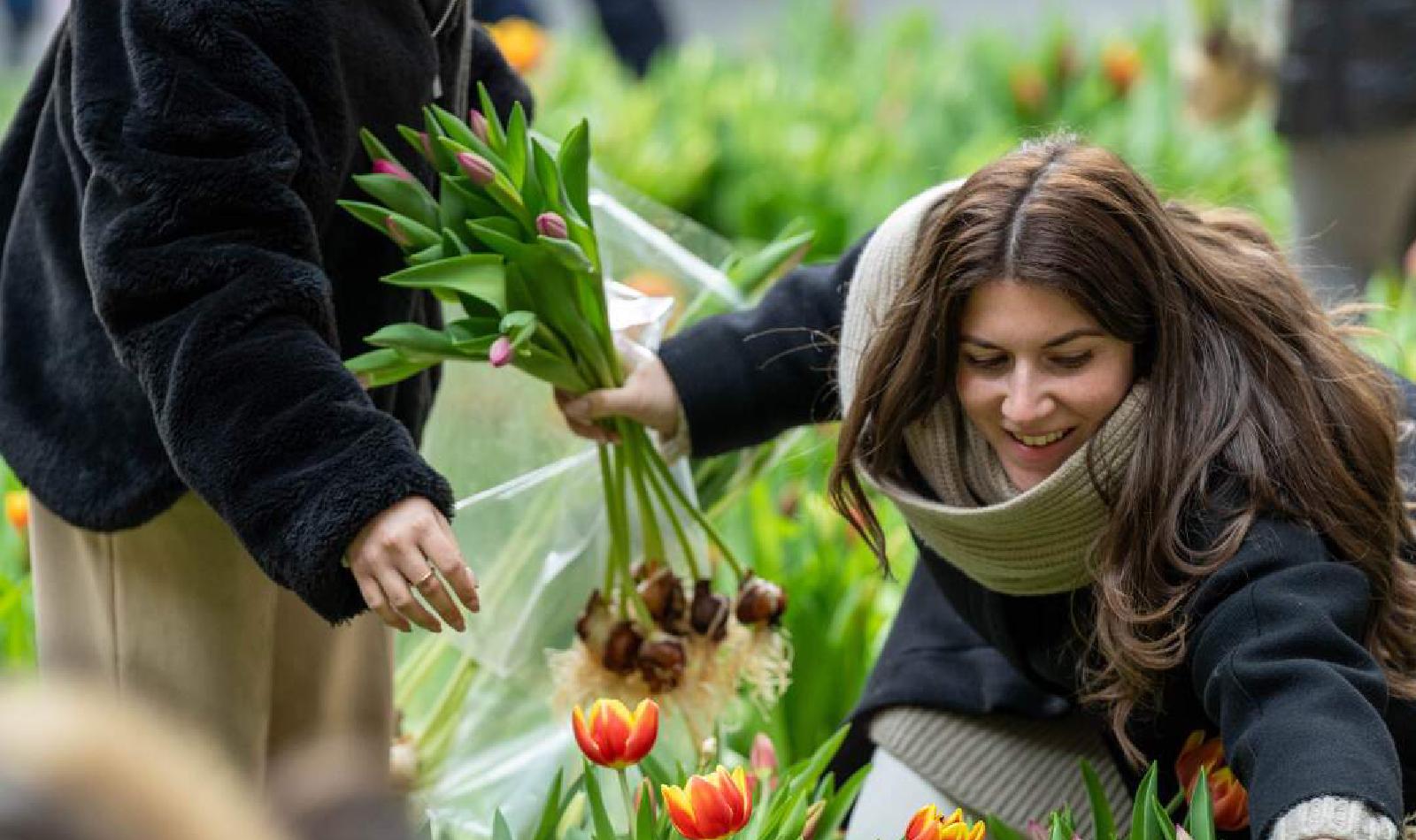 WTC Amsterdam | Welcome To Change